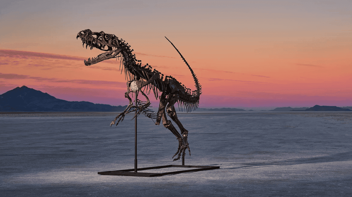 Ceratosaurus sells for $30.5 million, third-highest price for dinosaur at public auction